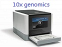 Signal Cell Sequencing： 10x genomics 