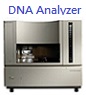 ABI 3730 DNA Analyzer