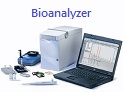 Agilent 2100 Bioanalyzer